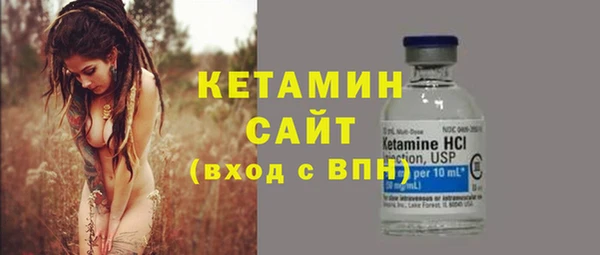 мет Ельня