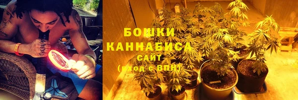 PSILOCYBIN Аркадак