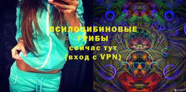 амф Алексин
