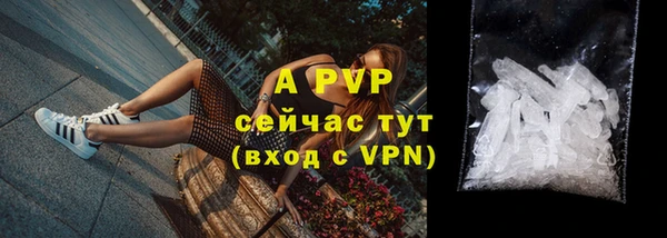 PSILOCYBIN Аркадак