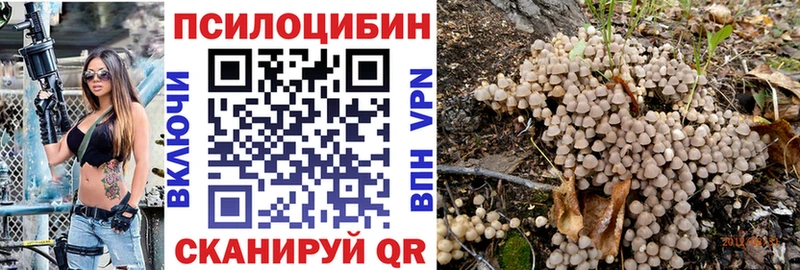 Галлюциногенные грибы прущие грибы  Чехов 