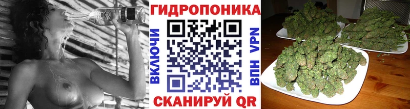 Конопля Amnesia  мега сайт  Чехов 